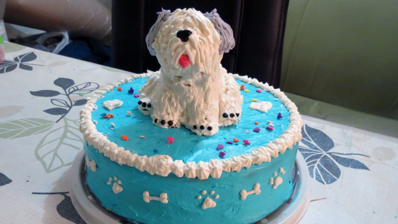 Decoración de snacks y pasteles para mascotas