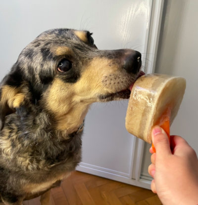 Helados para mascotas
